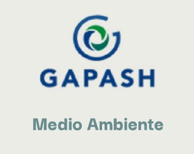 Logo Gapash